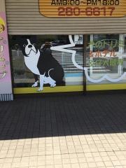 ロッキーハウス
