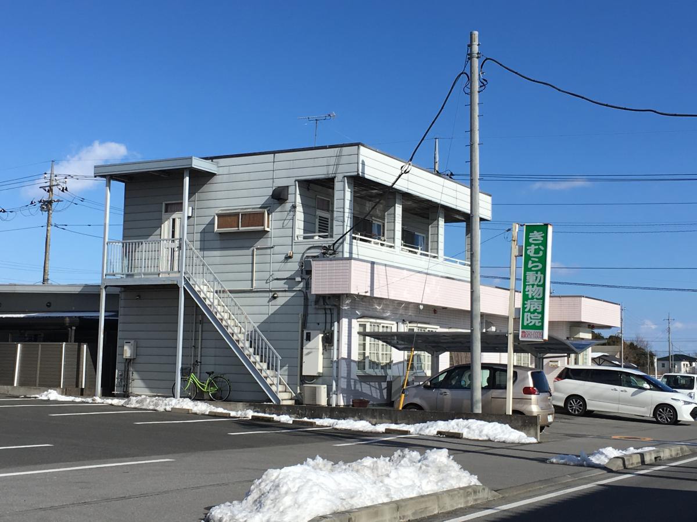 活動歴および当時の関連ビジュアル記録