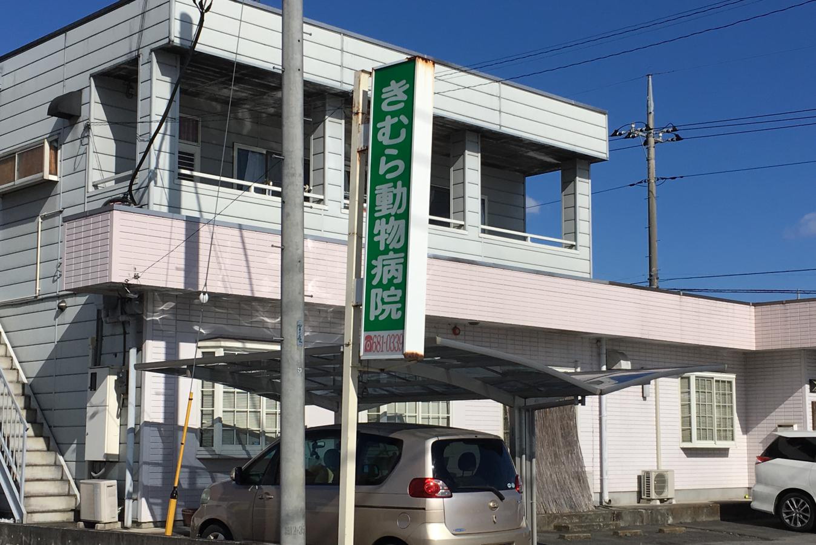 きむら 動物 病院