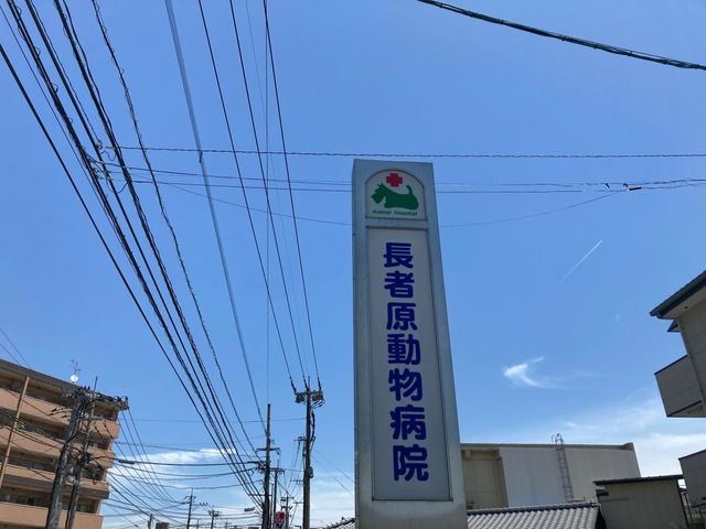 投稿写真4