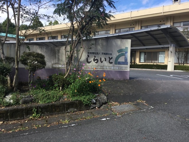 しらいと
