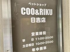 ペットショップＣｏｏ&ＲＩＫＵ　日吉店