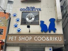 ペットショップＣｏｏ&ＲＩＫＵ　日吉店