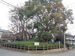 萱田第4緑地