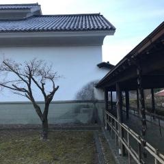 出雲市役所　スサノオ館