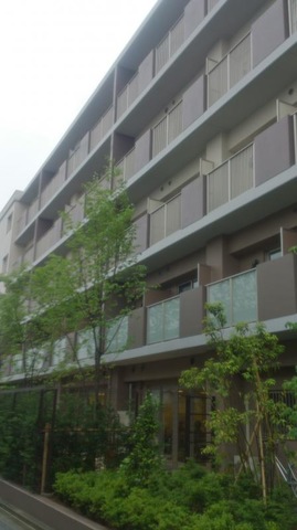 グレイプスふじみ野