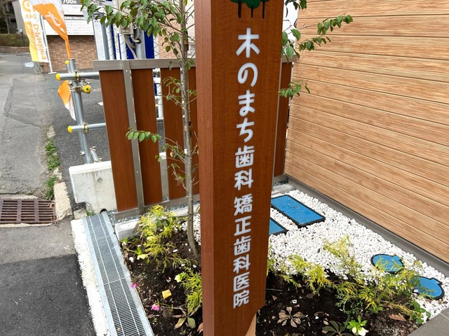 投稿写真1