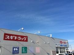 ドラッグスギ　蓮田山ノ内店