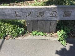 上ノ原公園