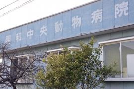 明和中央動物病院