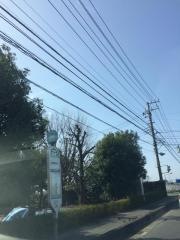 「念仏橋」バス停留所
