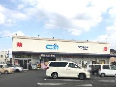 ウエルシア　相模原田名店