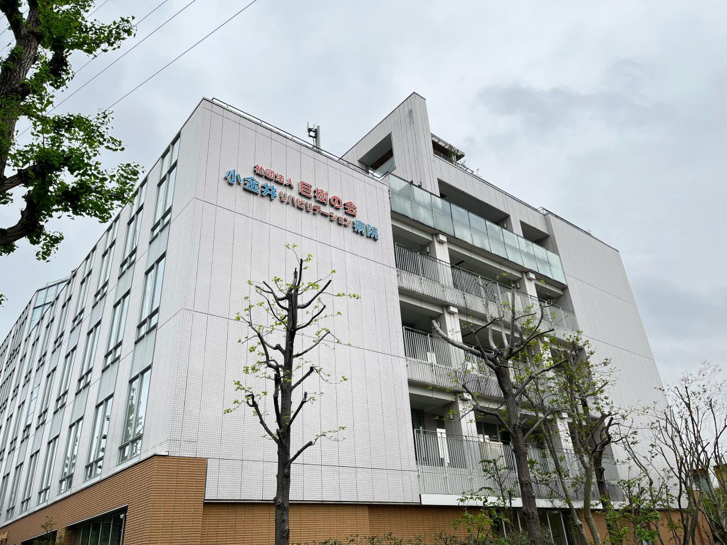 小金井 リハビリテーション 病院