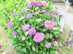 卯辰山麓苑