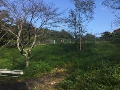 大山田緑地