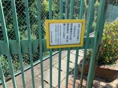 甲緑小学校