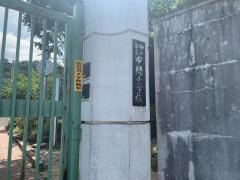 甲緑小学校