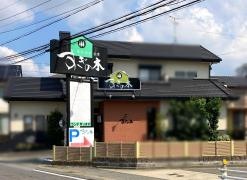 すぎの木