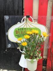 せいざん