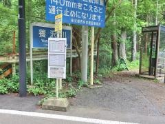 「曽利郷橋」バス停留所
