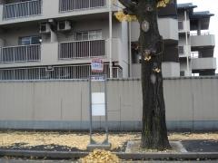 「天理市庁前」バス停留所