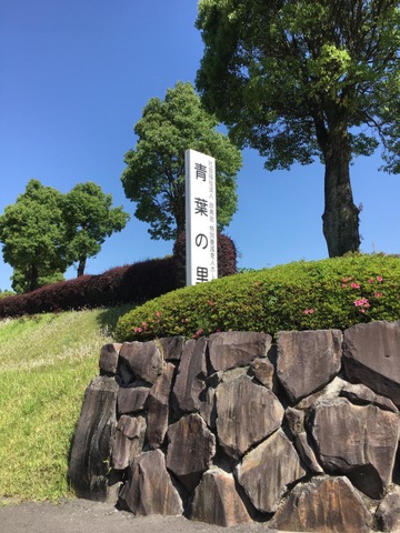 青葉の里