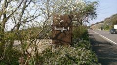 Ｓｉｓｓｉｎｇｈｕｓｔ