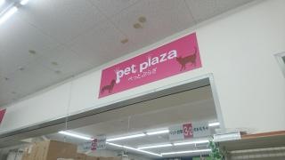 ペットプラザ　りんくう羽倉崎店