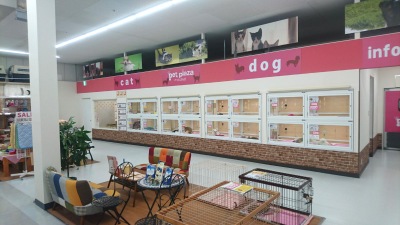 マーケットピア ペットプラザ りんくう羽倉崎店