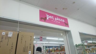 マーケットピア ペットプラザ りんくう羽倉崎店