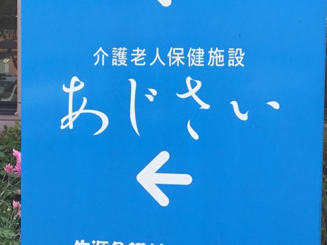 あじさい