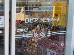 ロピア小田原高田店