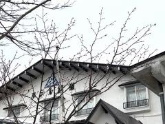 ホテル銀嶺