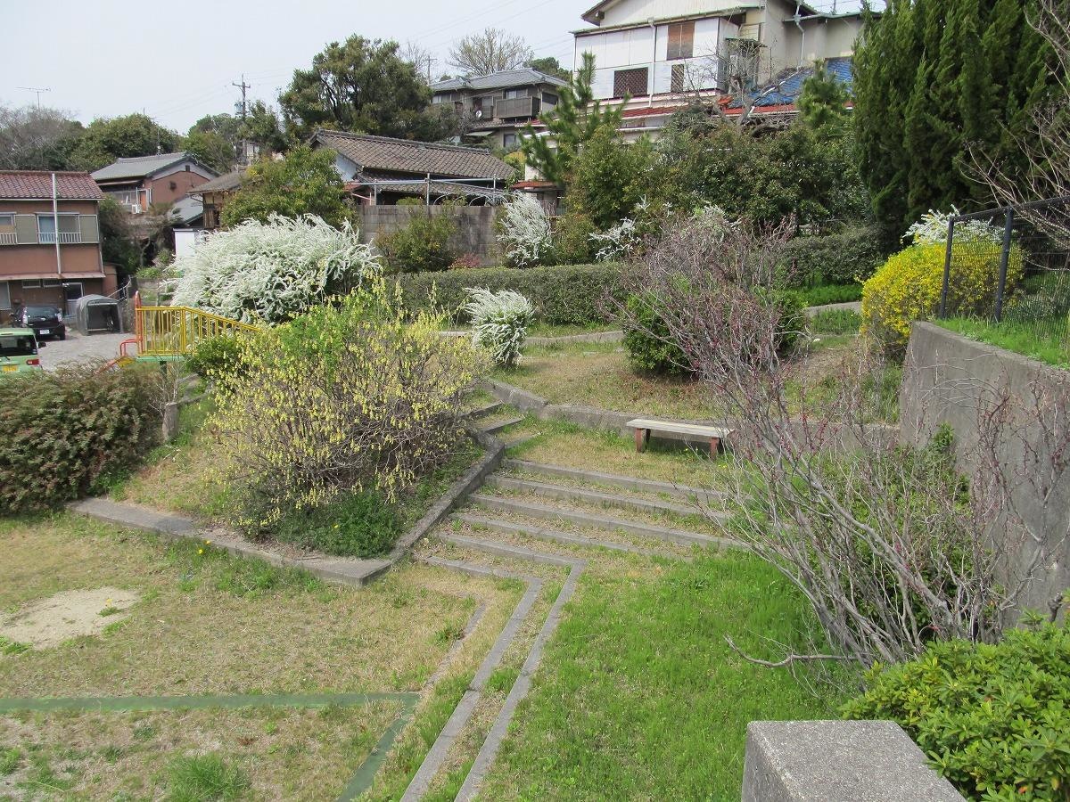西丸根緑地③
