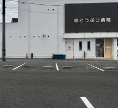 堀どうぶつ病院
