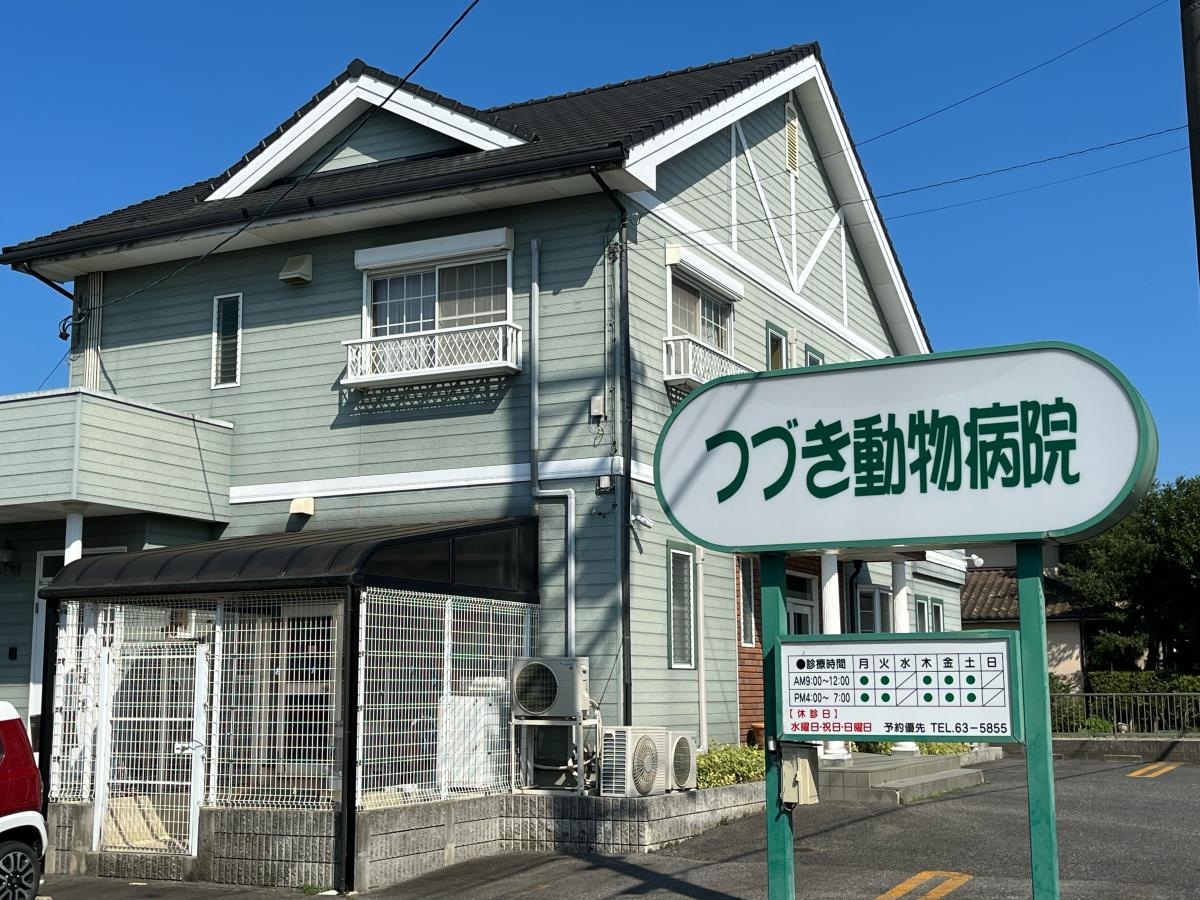 つづき動物病院