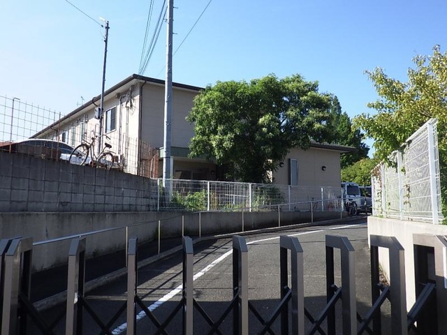 緑樹