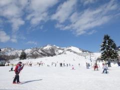 岩原スキー場