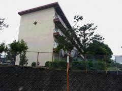 山田小学校