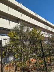 江坂大池小学校