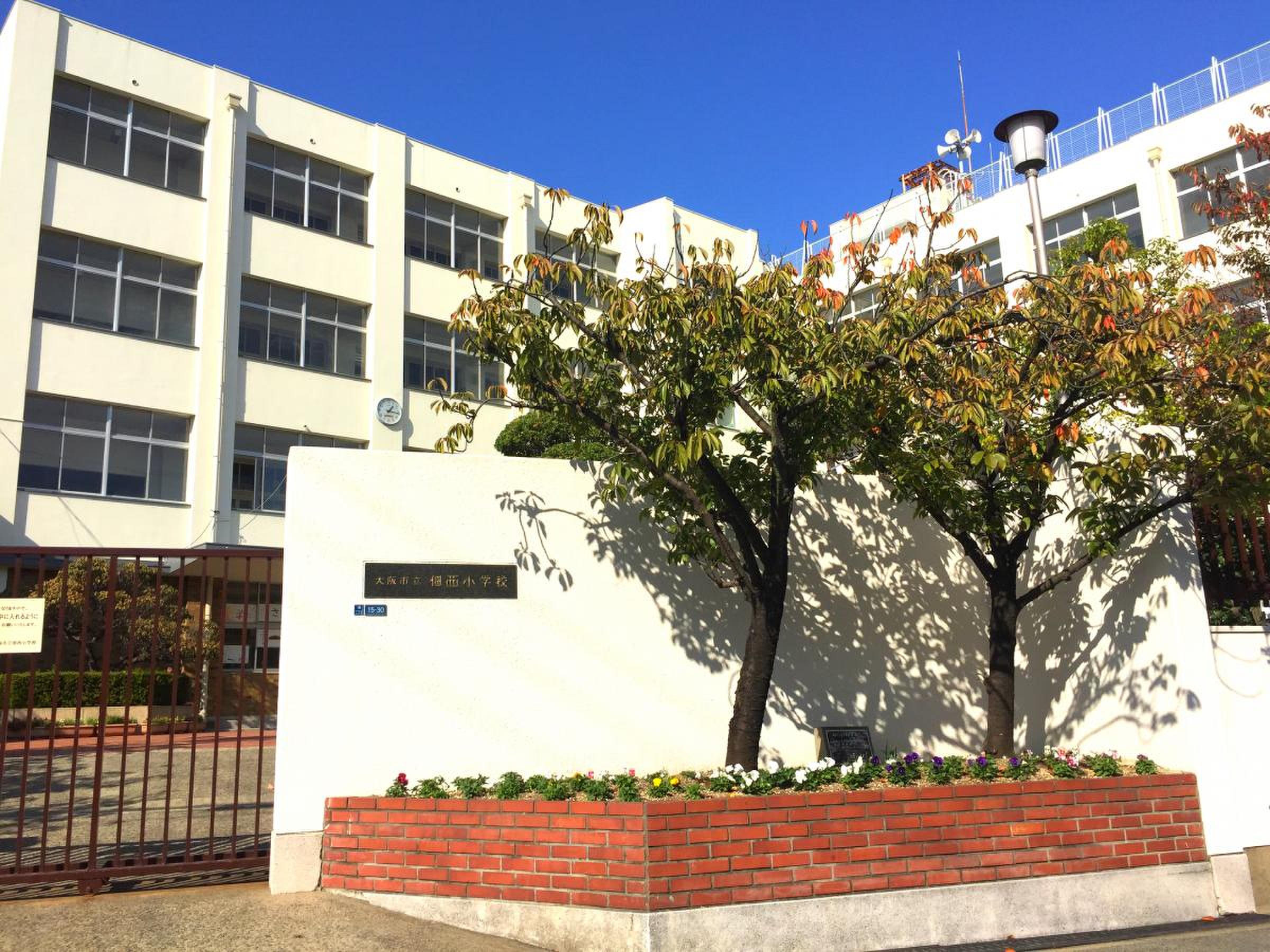 佃 西 小学校