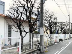 島屋保育所