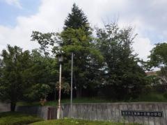 真美ケ丘東小学校