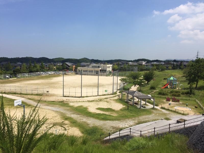 公園全体