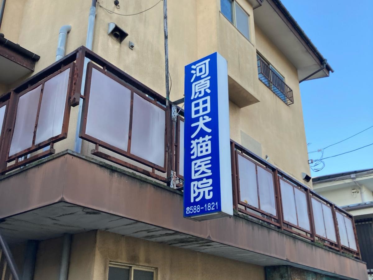 河原田犬猫医院の施設外観です。