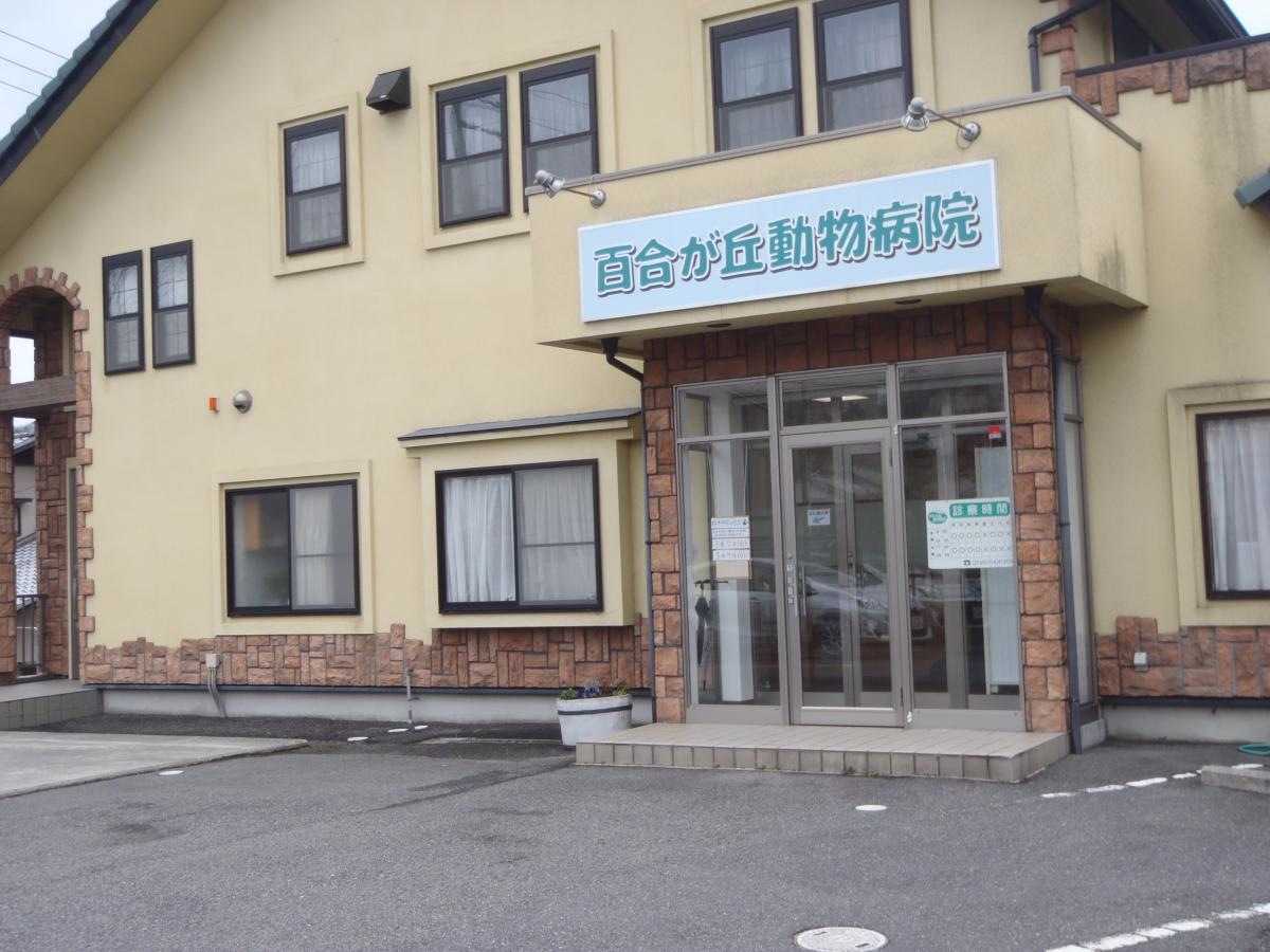 入口
