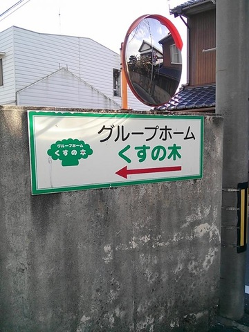 くすの木