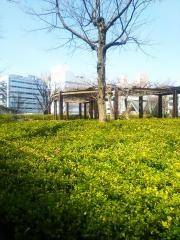 松本駅前記念公園