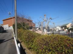 和合あかつき幼稚園