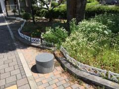 土居下街園